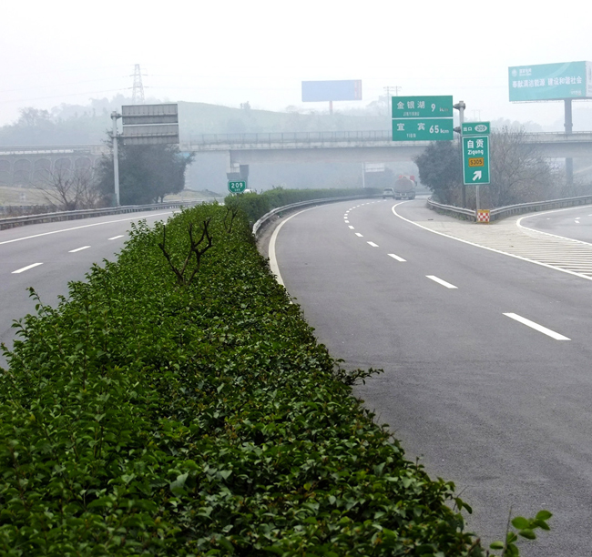 2011年-自宜路LM2項目工程